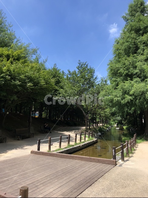 화창,공원,산책,여름,강가,자연,풍경,nature,landscape,path,통로,outdoors,옥외,water,물