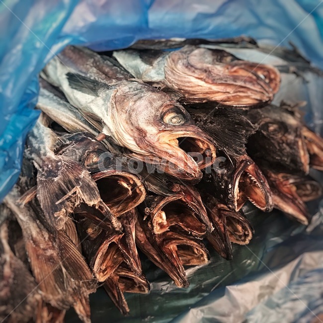 명태,재래시장,물고기,식재료,고향풍경,음식,식재료,요리,food,cook,meal,dishes,food reserves,수산물,해산물,fishery products,seafood