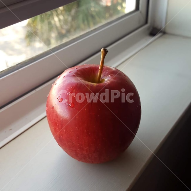과일,사과,웰빙,라이프스타일,건강,음식,식재료,요리,food,cook,meal,dishes,food reserves,과일,열매,fruit