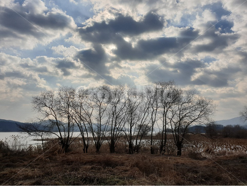 sky,하늘,구름,cloude,겨울,winter,산책,walk,자연,풍경,nature,landscape,outdoors,옥외,weather,날씨,ground,바닥