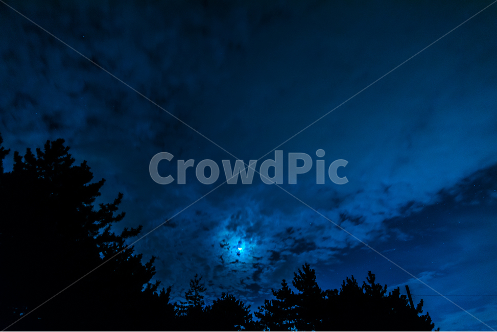 밤하늘,달빛,감성,감성사진,풍경,풍경사진,자연,풍경,nature,landscape,야경,밤,nightscape,night,실루엣,그림자,silhouette,shadow,tree,나무,plant,식물,outdoors,옥외