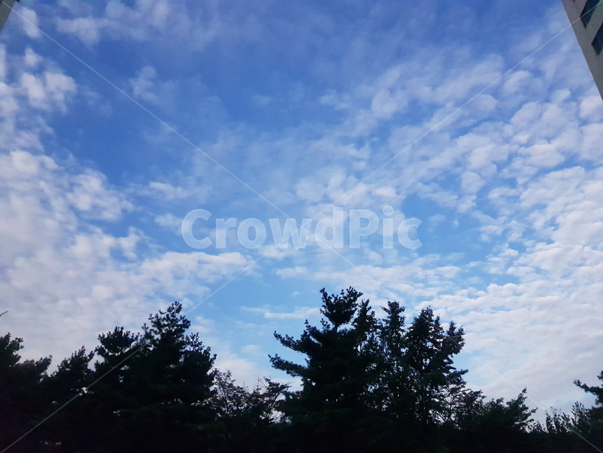 하늘,sky,푸른하늘,구름,cloud,cloudy,자연,풍경,nature,landscape