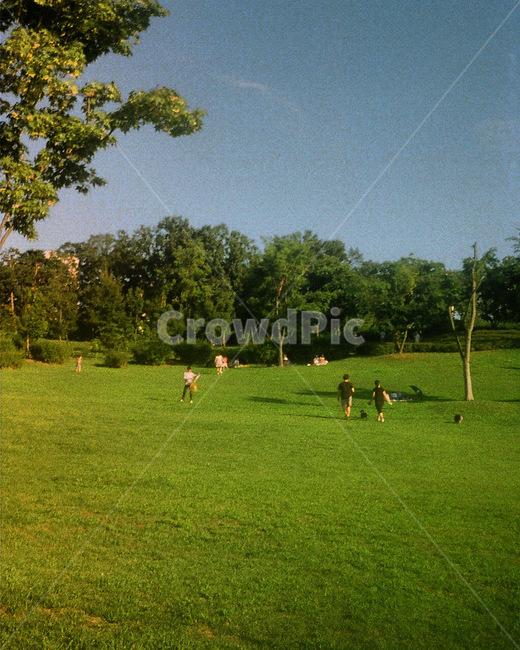 필름,필름사진,잔디,잔디밭,소풍,수원,광교,광교호수공원,호수,감성,감성사진,field,들,outdoors,옥외,human,grass,사람,person,인간,plant,식물,grassland,목초지,nature,자연