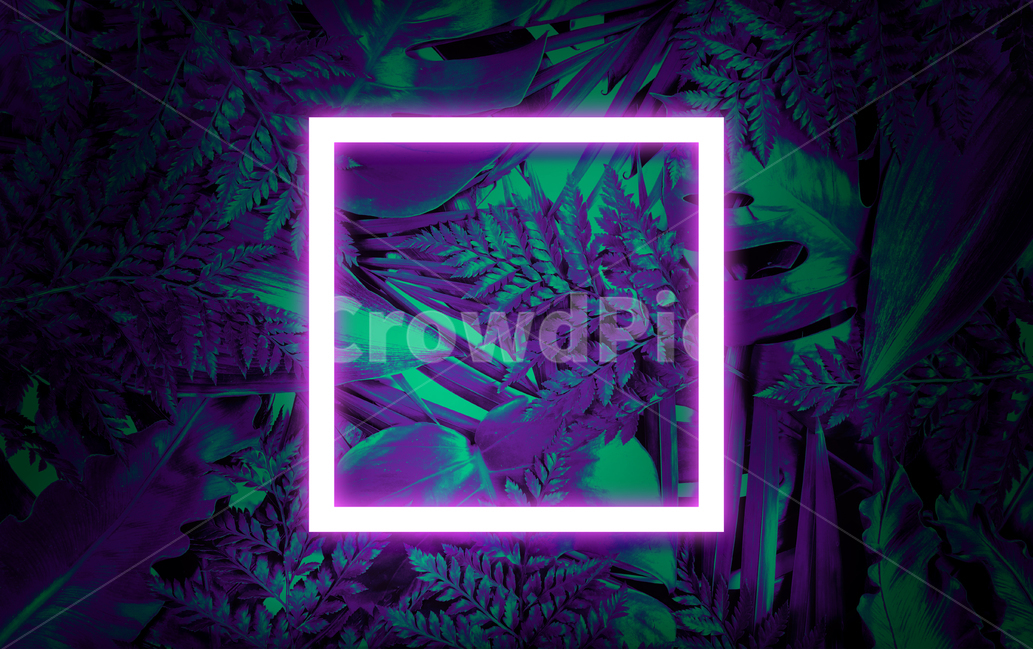 prepare,neon,Botanical Frame,Botanical,Tropical,leaf,summer,neon frame,background image,palm tree,reversal,Neon,light,background,tropics,plant,neon sign,jungle,frame,Photo Frame
