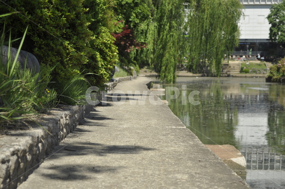 나무,숲,호수,캠퍼스,물,강,산책,길,자연,풍경,nature,landscape,outdoors,옥외,path,통로,tree,plant,식물