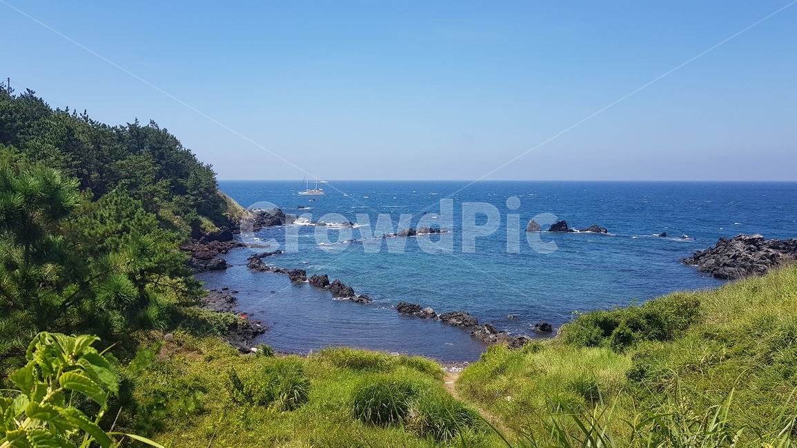 제주도,바다,도두봉,날씨,여름,도두,돌