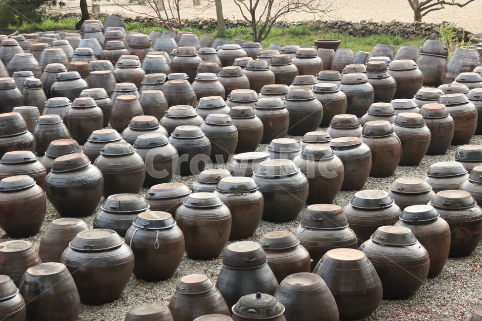 항아리,옹기,장독,시골,풍경,pot,한국전통,한국문화,korean traditional,korean culture