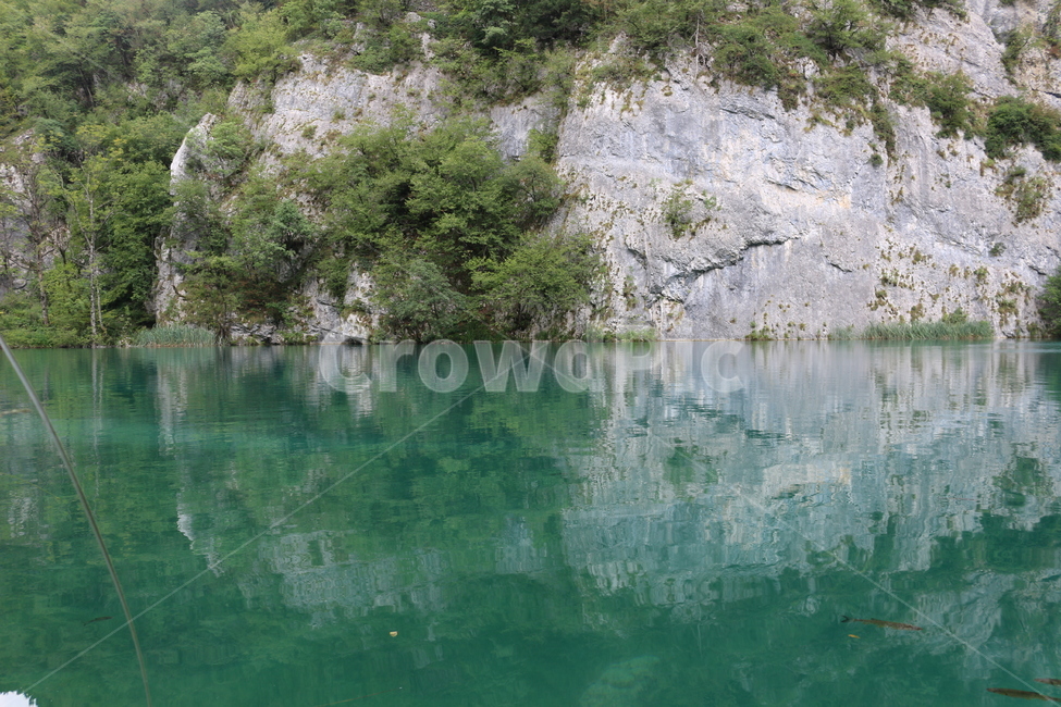 크로아티아,크로아시아,플리트비체,croatia,plitvice,plitvica,국립공원,공원,폭포,숲,요정숲,연못,강,호수,나무,여름,유럽,waterfall,pond,lake,park,tree,forest,자연,풍경,nature,landscape