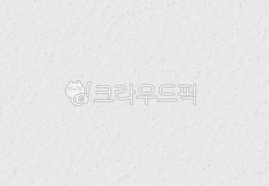 paper texture,pattern,white background,sauce,crumpled,paper,white,wrinkled,group,texture,paper texture background,background,paper background,white paper background