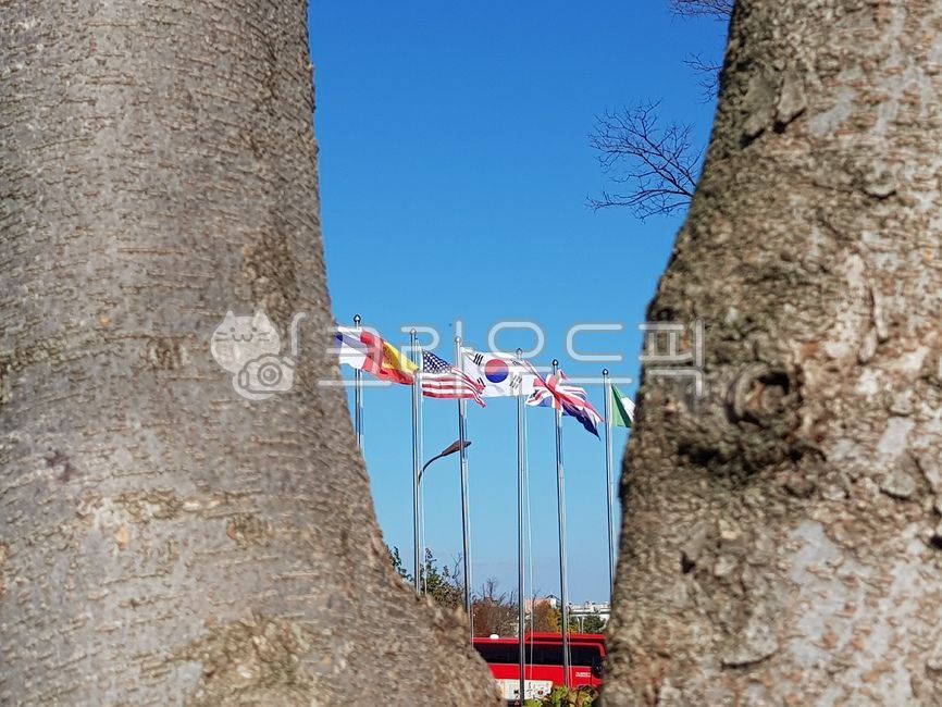 공원,태극기,공원태극기,국기,깃발