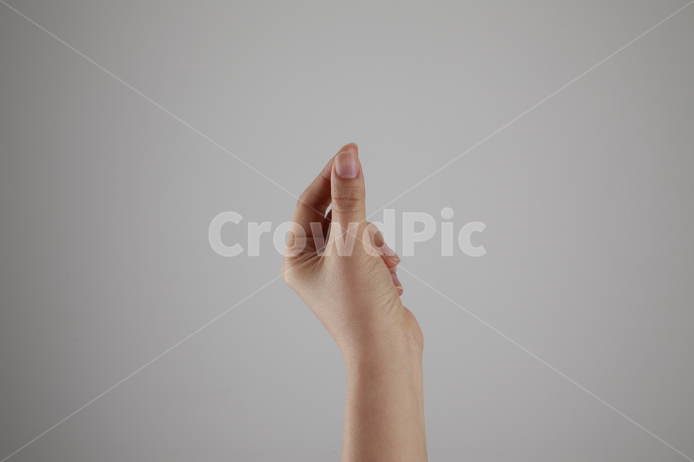 여자손,주먹,왼손,팔,흰색배경,동양인,사람,인물,인간,human,person,body,신체일부,몸,표시,손짓,표현,gesture,hand,expression,연출,컨셉,콘셉,direction,concept,신체일부,몸,body,손,제스처,표시,손짓,표현,gesture,hand,sign,expression