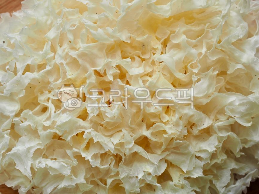 흰목이버섯,목이버섯,버섯,음식,요리재료,배경,건조식품,말린버섯,mushroom,food,ingredient,wellnessfood,background,driedfood,driedmushroom,웰빙,웰빙음식,wellbeing,wellbeingfood,흰색,음식,식재료,요리,food,cook,meal,dishes,food reserves