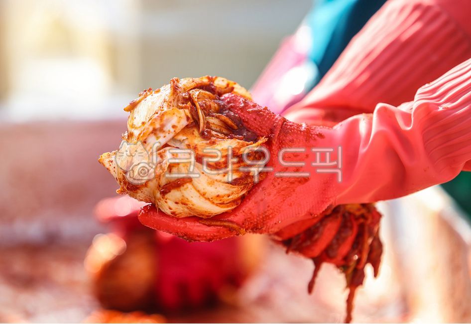 김치,김장,김장준비,담그기,김치공장,고추가루,공장,절임배추,배추김치,전통음식,겨울음식,야채,채식,발효,신선한,빨간,단체,봉사활동,행사,배추,고추장,양념,반찬,손,한식,한국음식,한국