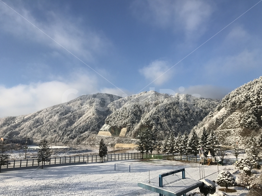 임계초,운동장,눈꽃,정선,강원도,자연,풍경,nature,landscape,겨울,계절,winter,season,outdoors,옥외,mountain,산