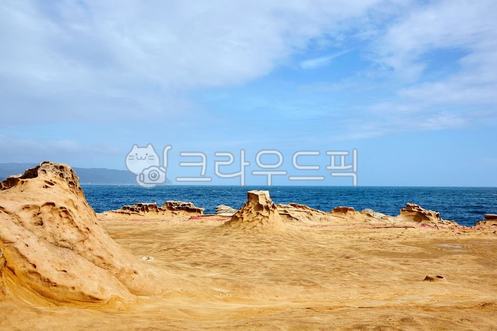 예류,예류지질공원,기암괴석,산호조각,대북,대만,바위,해외,공원,풍경,자연,바다,관광지,침식,풍화,풍화작용,타이베이,타이완,아시아