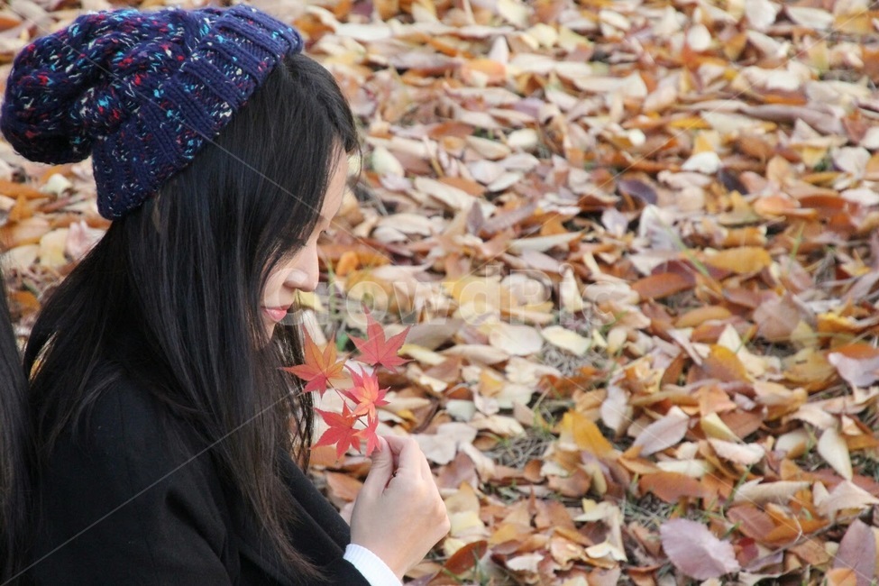 낙엽,가을,인물,여자,fall,fallenleaves,female,girl,사람,인물,인간,human,person,여성,여자,woman,female,lady