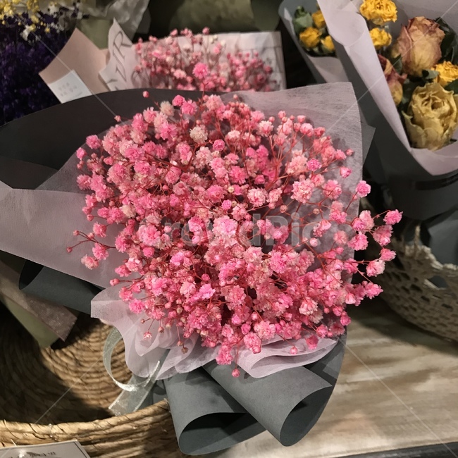 꽃,flower,안개꽃,핑크색,pink,식물,자연,plants,nature,꽃,flower