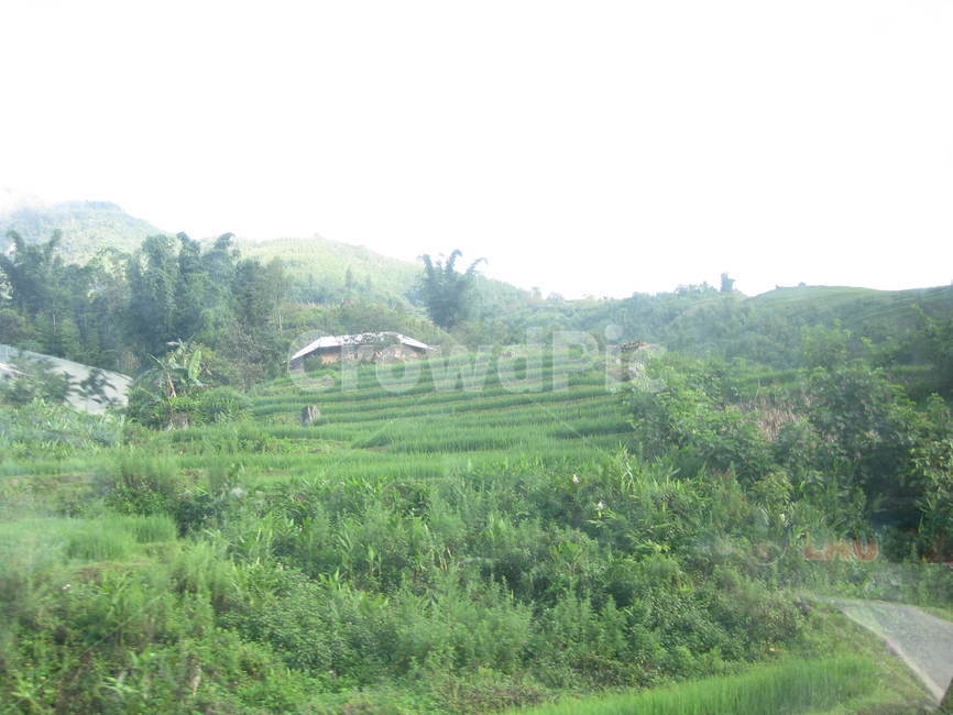 동남아,outdoors,옥외,field,들,grassland,목초지,nature,자연,paddyfield,패디필드,countryside,시골,다랭이논