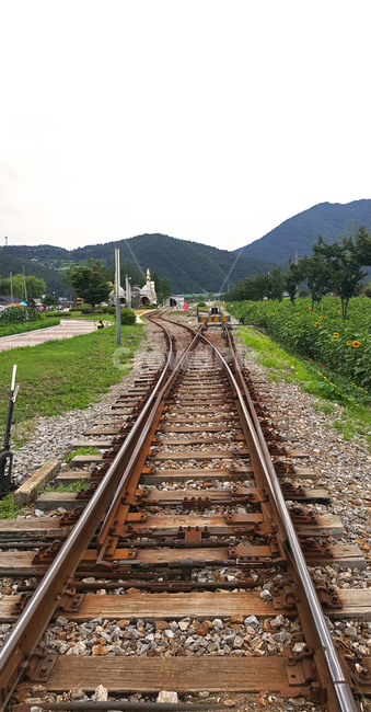 강원도,여량,철길,감성,선로,풍경,railroad,rail