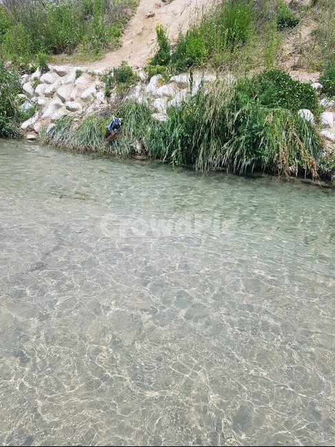 개천,물가,붕어,구피,물,자연,풍경,nature,landscape,water,outdoors,옥외