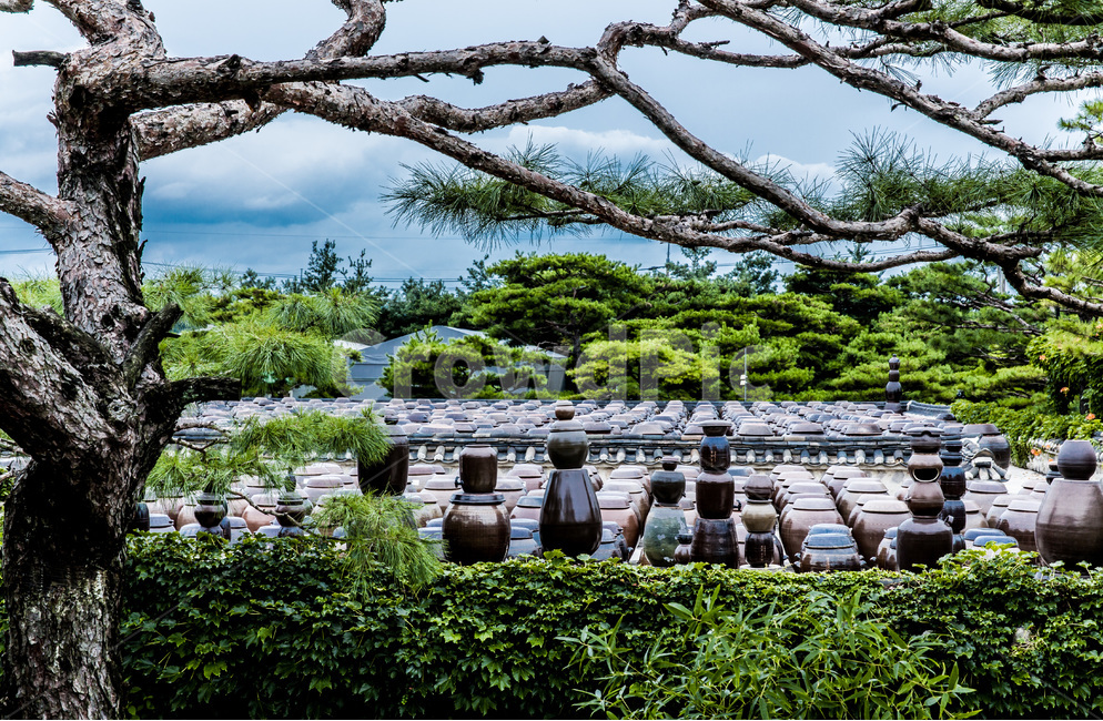 장독대,장독,옹기,전통문화,문화유산,한국의미,항아리,한국전통,한국문화,korean traditional,korean culture