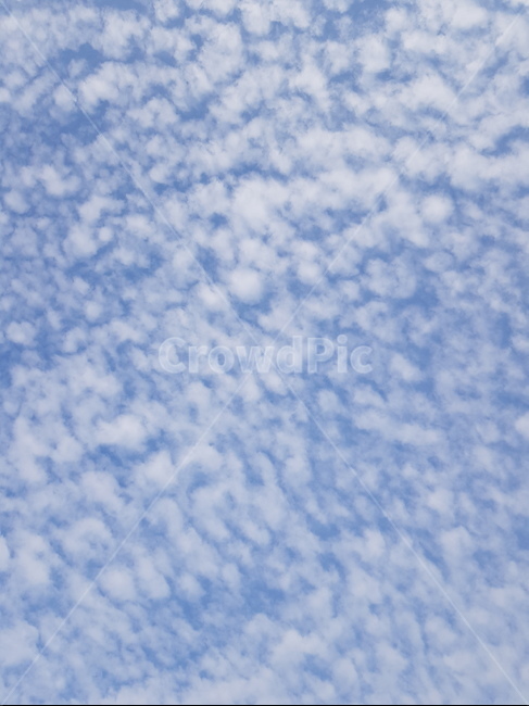 구름,하늘,포근함,sky,cloud