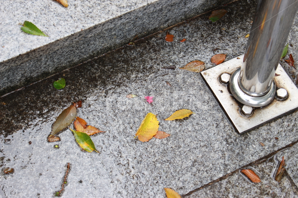 감성,감성사진,낙엽,알록달록,비,젖은낙엽,여름,소나기,가을,계절,fall,autumn,season