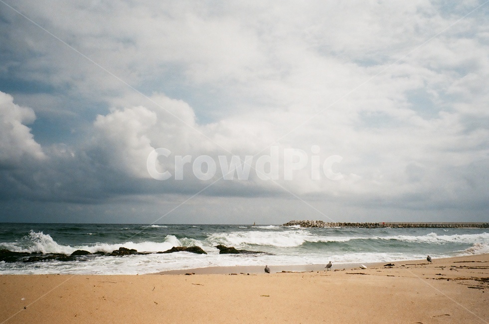 바다,속초,구름,하늘,파도,자유,힐링,휴가,여름,자연,풍경,nature,landscape,필름,sea,필름카메라,감성,아름다운,계절,vacation,해변,바다,beach,sea