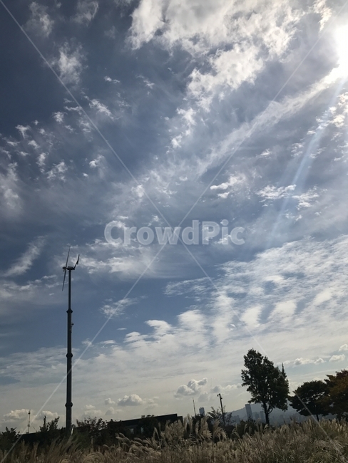 하늘,구름,풍경,바람,풍차,Sky,Cloud,들판,산책,갈대숲,갈대밭,나무,자연,자연,풍경,nature,landscape,weather,날씨,outdoors,옥외