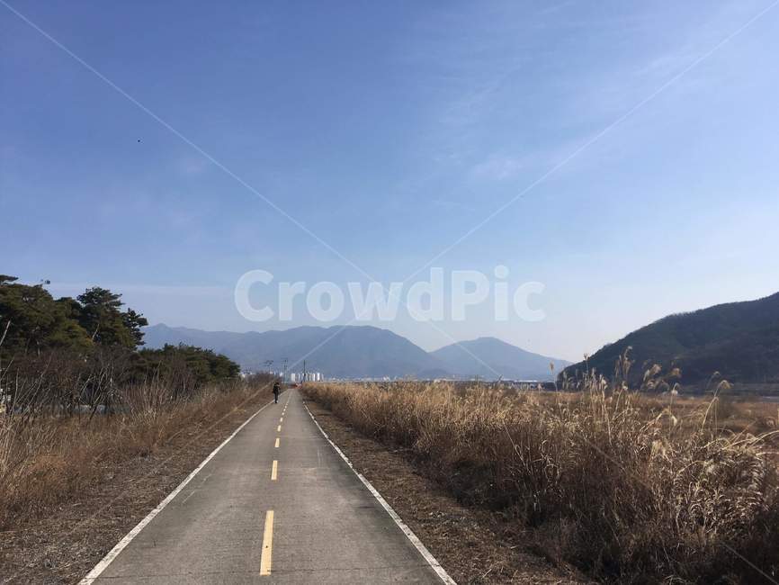 도로,산책길,경치,풍경,감성