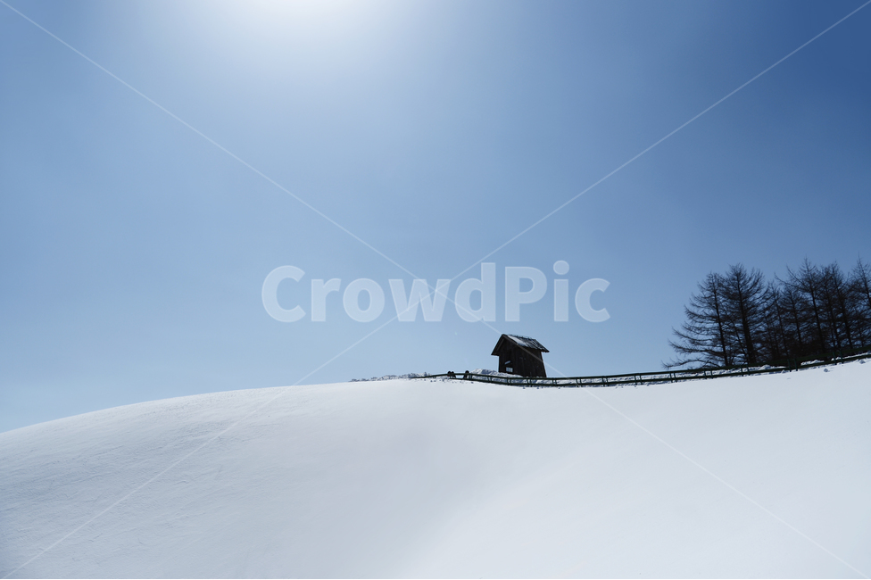 강원도,대관령,양떼목장,눈,목초창고,겨울,계절,winter,season,자연,풍경,nature,landscape,한국자연풍경,한국자연경관,korea nature landscape,outdoors,옥외
