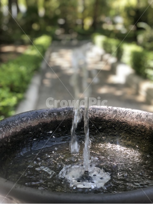 공원,음수대,물한줄기,분수,여름,산책