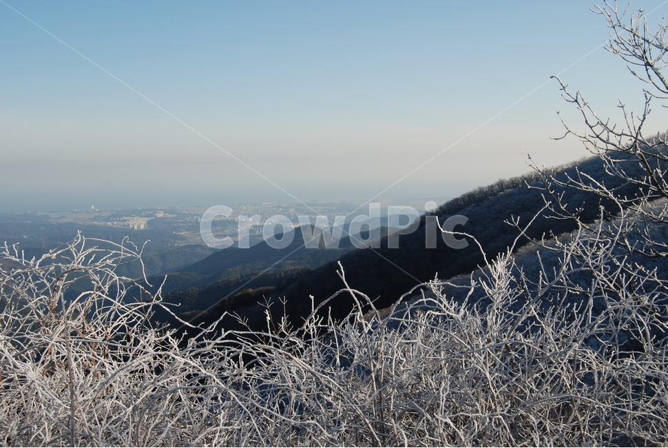 고루포기산,겨울,공원,탐방로,자연,겨울,계절,winter,season,자연,풍경,nature,landscape,한국자연풍경,한국자연경관,korea nature landscape,outdoors,옥외,ice,빙