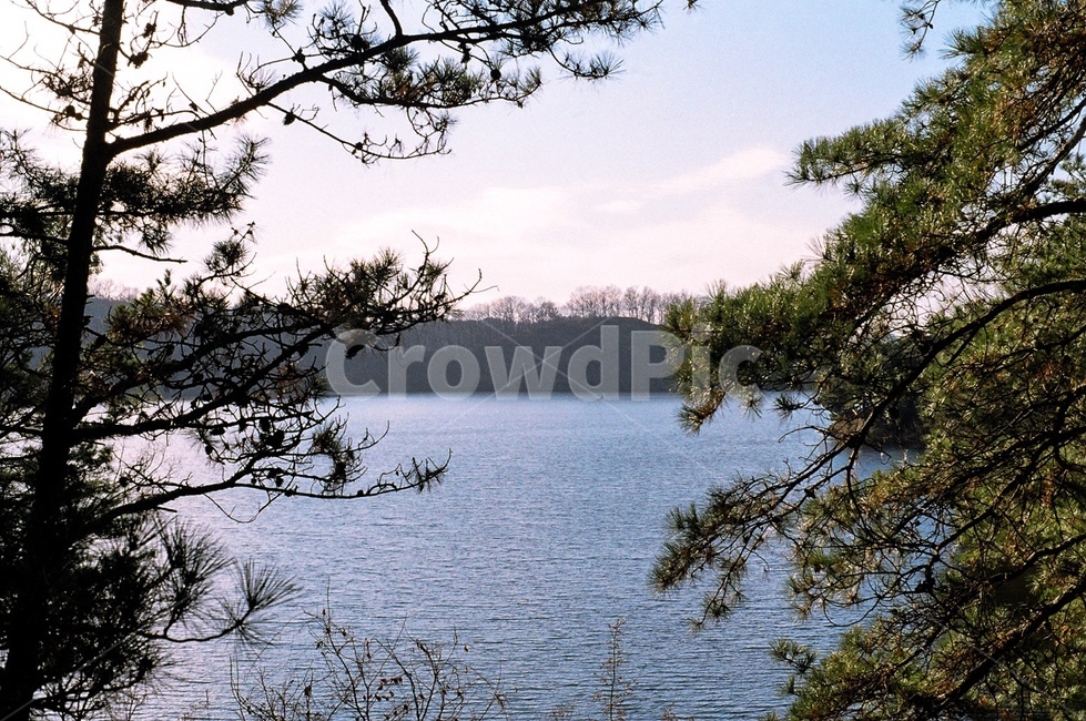 호수,노을,nature,자연,water,물,outdoors,옥외,tree,plant,식물,자연,풍경,nature,landscape,나무