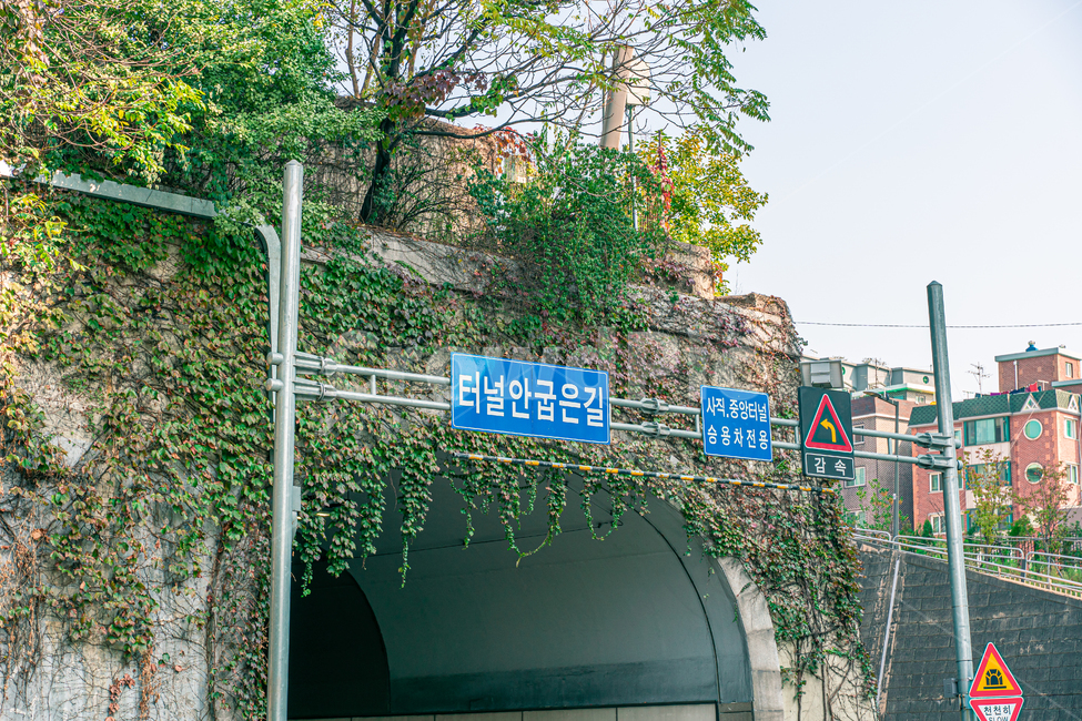 사직터널,터널,표지판,도로,교통,건축물,건물