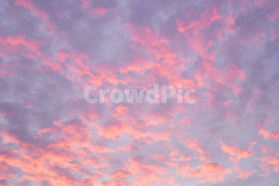 하늘,구름,sky,cloud,날씨,핑크빛,노을,일몰,배경,background,자연,nature,자연,풍경,nature,landscape,outdoors,옥외,weather,cumulus,적운
