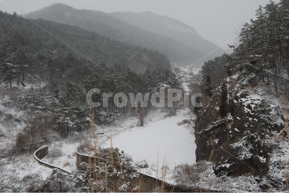 겨울,설경,휴양지,자연,공원,겨울,계절,winter,season,자연,풍경,nature,landscape,fir,전나무,plant,식물,tree,나무,outdoors,옥외