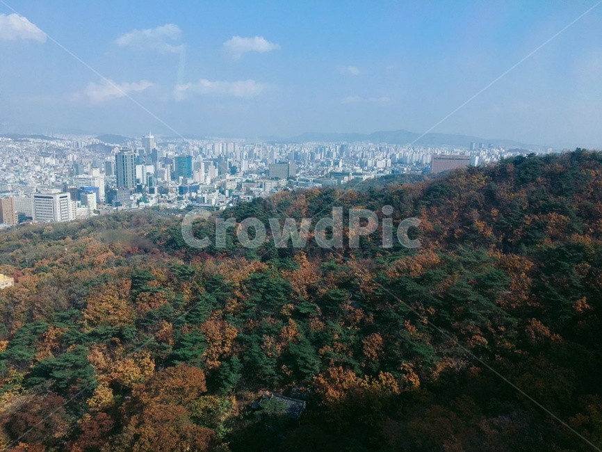 낙엽,가을,도시,구름,전경,가을,계절,fall,autumn,season,자연,풍경,nature,landscape,경치,outdoors,옥외,scenery,aerial view,조감도