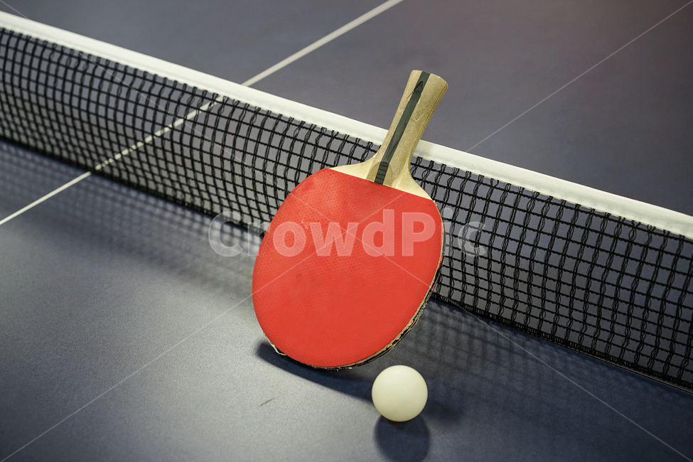 탁구,구기종목,스포츠,탁구대,tabletennis,탁구라켓,스포츠,레저,운동,sports,leisure,exercise,사물,물건,오브젝트,thing,object,matter