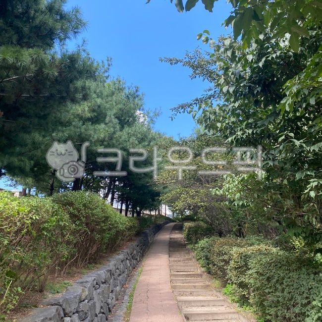 path,통로,오솔길,산책로,공원,길