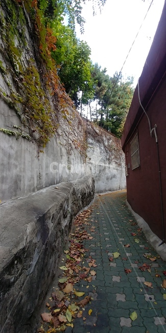 골목,담벼락,벽돌집,낙엽,가을,보도블럭,좁은,골목길,붉은벽돌,주택,콘크리트,회색,벽,길,길거리,나뭇잎,식물