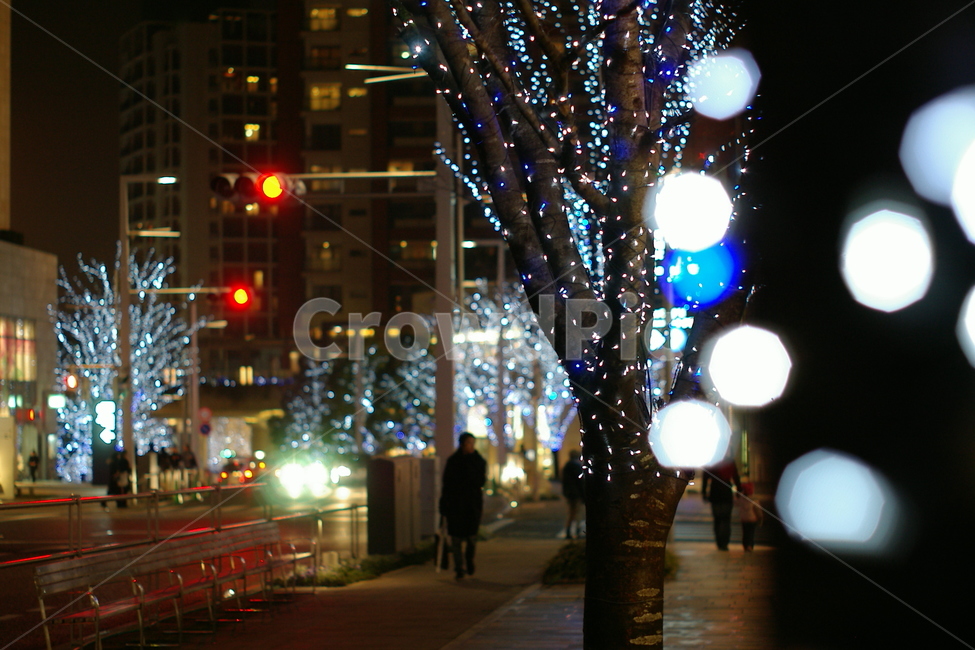 보케,boke,전구,전등,크리스마스,christmas,밤,night,나무,거리,겨울,winter,road,town,도시,city,겨울,계절,winter,season,야경,밤,풍경,nightscape,night,landscape,도시,city,lighting,조명,building,건물,metropolis,중심지,시티,urban,어반,light,빛