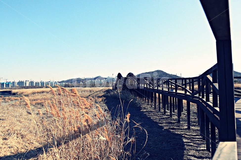 바라지다리,다리,생태공원,풍경,배경,자연,자연,풍경,nature,landscape,한국자연풍경,한국자연경관,korea nature landscape
