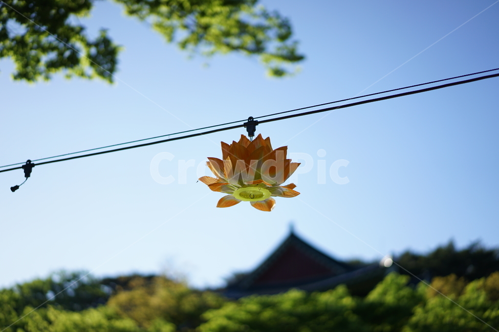 통도사,절,불국사,사찰,분위기,등,불교,종교,신앙,religion,belief,faith