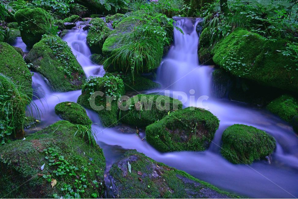 이끼계곡,이끼폭포,상동이끼계곡,상동이끼폭포,풍경,자연,영월상동