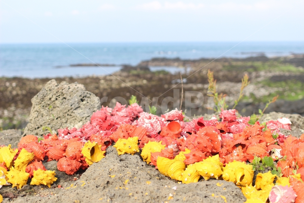 바다,자연,예술,색감,하늘,자연,풍경,nature,landscape,한국자연풍경,한국자연경관,korea nature landscape,제주도,jeju,jeju island,예술,art,색깔,색상,색채,색감,color sense,color sensitivity,feeling of color,leaf,잎,plant,식물