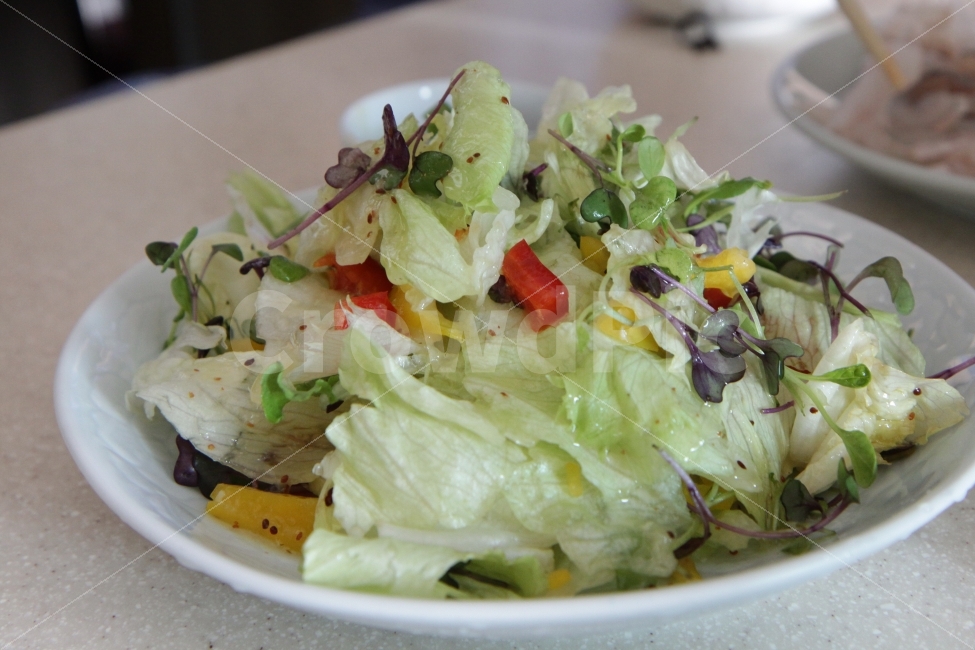 샐러드,야채샐러드,야채,양상추,저녁식사,음식,식재료,요리,food,cook,meal,dishes,food reserves,채소,야채,vegetables