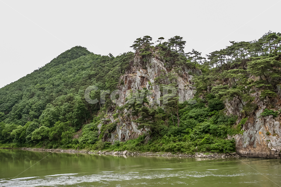 시골,나무,소나무,절경,물,저수지,풍경,자연,풍경,nature,landscape,한국자연풍경,한국자연경관,korea nature landscape,outdoors,옥외,water