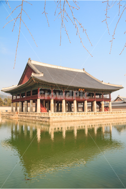 경회루,경복궁,연못,봄,전통건축,궁전,궁궐,풍경,봄풍경,버드나무,고궁,전통,문화,야외,문화재,관광명소,여행지,여행,관광,서울,문화유산,건물,건축,경치,평화로운,반영,파란,하늘,기와,기와지붕,정자,누각,전각,봄,계절,spring,season,한국전통,한국문화,korean traditional,korean culture,랜드마크,landmark,tourist attraction,한국랜드마크,한국관광지,한국명소,korea landmark,korea tourist attraction,architecture,건축물,building,temple,신전
