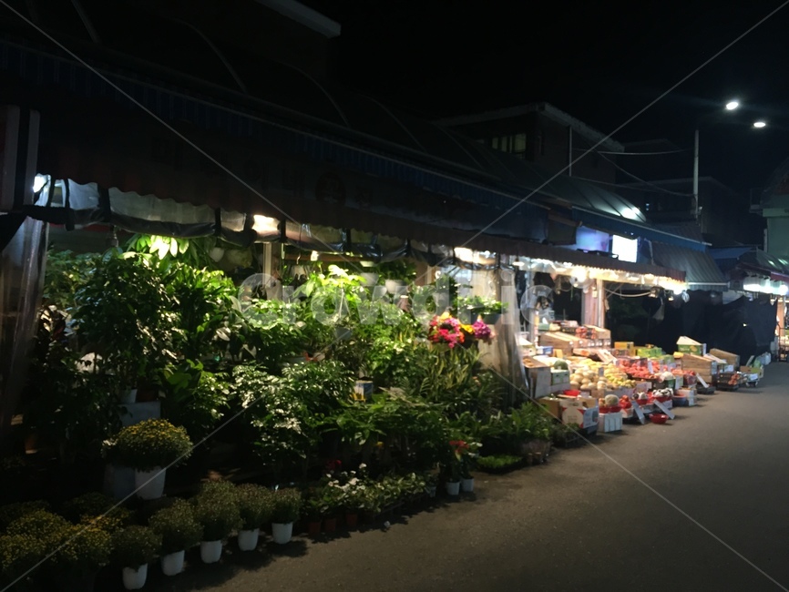 밤시장,시장,과일가게,꽃가게,밤,야경